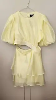 Bardot Enya Organza Mini Dress AU12 BNWT