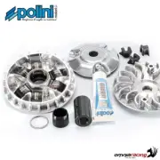 Polini hi-speed variator for Piaggio Liberty 125 3V ie 2013>