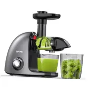 Slow Masticating Juicer Machine, Cold Press Juicer for Fruit Vegetable, High