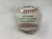 AMERICAN YOUTH BASEBALL HALL OF FAME COOPERSTOWN DREAMS PARK Rawlings