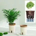 Self-Absorbent Home Flower Pot Plant Pot Plant Container Self Watering Planter