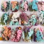 2 Box Dried Flowers For Art Craft Epoxy Resin Candle DIY Gift Wedding Decoration
