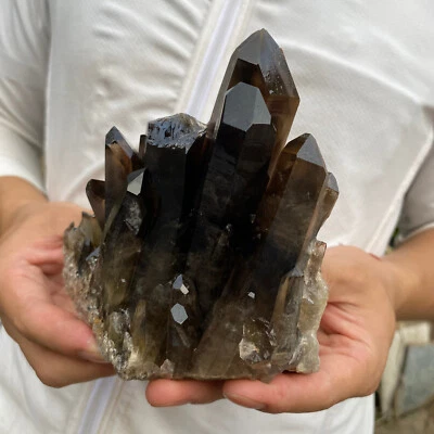 2.4lb Natural Smoky Black Quartz Crystal Cluster Raw Mineral Specimen healing