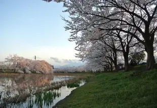 白樹旅館