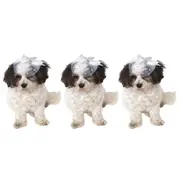 3x Rubies Fancy Formal Hat for Pet Dog/Cat Dress Up Party Costume Size S