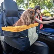 Kurgo Skybox Dog Car Booster Seat for Dog Car Travel up to 13.5kg Capacity