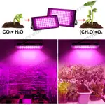 全光譜 植物生長燈 LED 植物燈 50W 100W  植物燈全光譜 太陽光 多肉植物燈 生長燈 多肉植物 LED植物燈