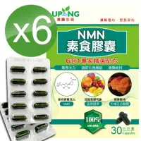 在飛比找momo購物網優惠-【湧鵬生技】NMN素食膠囊6入組(NMN:藻精蛋白:每盒30