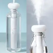 Portable USB Air Humidifier Diffuser Water Bottle Mini Aroma Maker Home Car US