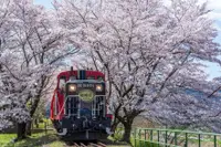 在飛比找雄獅旅遊優惠-京都嵐山嵯峨野遊覽小火車| 單程電子車票