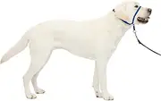 PetSafe Gentle Leader Headcollar, Large, Royal Blue