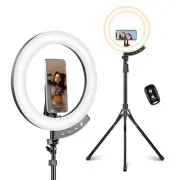 Sensyne 12" Ring Light with 62" Tripod Stand, LED Selfie Circle Light with St...