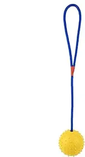 Rope Ball Dog Toy, Ball on Rope Dog Toy, Interactive Pet Ball, Bite Resistant Dog Ball, Chew Toy Training Squeaky Ball Launcher for Aggressive Chewers and Puppies