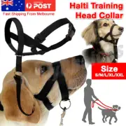Dogalter Dog Halter Training Head Collar Gentle Leader Harness Nylon Black
