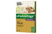 ADVANTAGE LARGE CAT OVER 4KG 6PACK