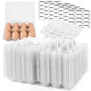 Clear Egg Cartons Bulk, 1 Dozen 12 Count Empty Egg Carton Storage Containers ...