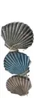 Sea Shell 3 SHELL DROP Hangers Ocean Theme Decoration Ornament Gift Homewares 50