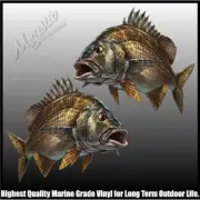 BREAM - 250mm x 190mm - PAIR - DECALS