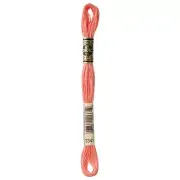 DMC 6-Strand Embroidery Cotton 8.7yd Apricot