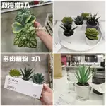 現貨 IKEA 人造小盆栽 迷你盆栽 白色小盆栽 人造盆栽 假植物 盆栽 植物 秋海棠 仙人掌 多肉植物