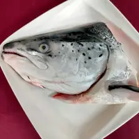 在飛比找樂天市場購物網優惠-冰鮮挪威鮭魚頭 450g±10%/包