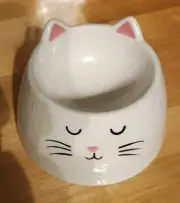 Whisker City Elevated Ceramic Textured Cat Bowl