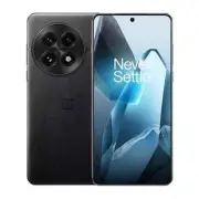 OnePlus 13 Smarter AI Phone-24GB RAM-1TB Storage Black Eclipse-Global Version
