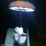 USB LAMP WITH FAN