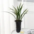 Orchid Pots with Breathable Holes, Indoor Plastic Plant Pots for Cymbidium