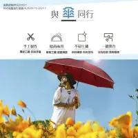 在飛比找Yahoo!奇摩拍賣優惠-強強滾 (五人十)A127巨無霸防曬自動反向傘 大雨傘  陽