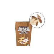 Aussie Mushroom Ready to Grow Mushroom Kit - King Oyster - Easy to Fruit