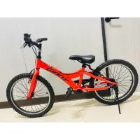 在飛比找蝦皮購物優惠-捷安特/兒童腳踏車/GIANT20寸/YJ250