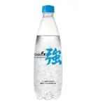 【泰山】CHEERSEX強氣泡水500MLX24入/箱