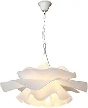 CJLWSLCO Modern White Duo Blossom Acrylic Pendant Lightled Bedroom Living Room Study Dining Room Decoration Hanging Lamp LEDE27 Light Source Chandeliers Modern Simple Home Lighting Fixtures Indoor Adj