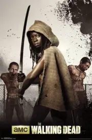 2014 AMC FILMS THE WALKING DEAD MICHONNE & TWINS POSTER NEW 22x34 FREE SHIP