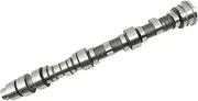 Front Camshaft Compatible with Honda Odyssey 2008-2017 Pilot 2009-2015 3.5L V6#14100RGWA01 14100RGWA02