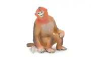 Golden Monkey, Primate, Realistic, Rubber Figure Model Toy Gift 3.5" CH672 BB170