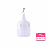 在飛比找momo購物網優惠-【Flower】USB充電懸掛式燈泡 露營燈 大款 100W