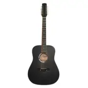 New Acoustic Guitar 12 Strings made in Ukraine, Natural Wood Painted Black