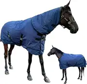 1200 D Horse Blanket, Horse Turnout Blanket with Detachable Neck Cover, 220g Filling Thicken Horse Sheet, Waterproof Snow Proof Blanket for Horse (US 78 in(EU 145cm))