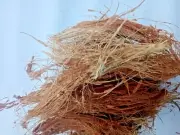 Coconut Fiber Husk Organic Coir Pet Bedding Craft Long Orchid Anthurium Potting