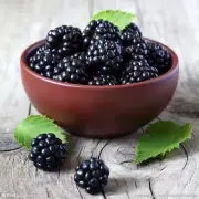 100 Blackberry Seeds Organic Fruit Seed