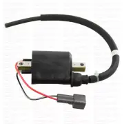 Engine Ignition Coil Replacement Yamaha Marine 2-Stroke Outboards 68F-82310-01