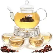 27OZ Tea Kettle Infuser Moss & Stone 6 PCS Borosilicate Glass Teapot W/ Strainer