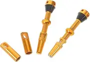 2-in-1 Presta Valve Adapter Kit Air Compressor Valve Core Removal Tool Tubeless Valve Stems Bike Tire Cap Vacuum Valve Design