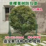 防鳥罩果樹罩櫻桃樹防鳥網枇杷罩嘉寶果樹防鳥罩子果園果樹網防護