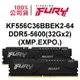 金士頓 KF556C36BBEK2-64 32Gx2支套條 FURY Beast DDR5 5600 XMP EXPO