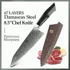 Chef Knife 67 Layers Damascus Steel VG10 Core G10 Handle Kiritsuke Beef Slicing