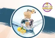 AIRGLAD Beach Squash Car AirFreshener Car Perfume Fragrance diffuser Home Office