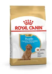 ROYAL CANIN Poodle Junior Puppy 3KG